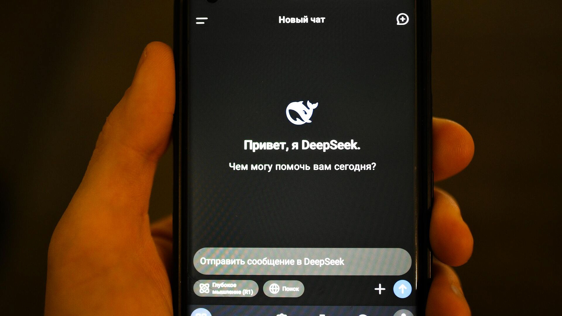 ������ ����������� ��������� DeepSeek ��� �����������