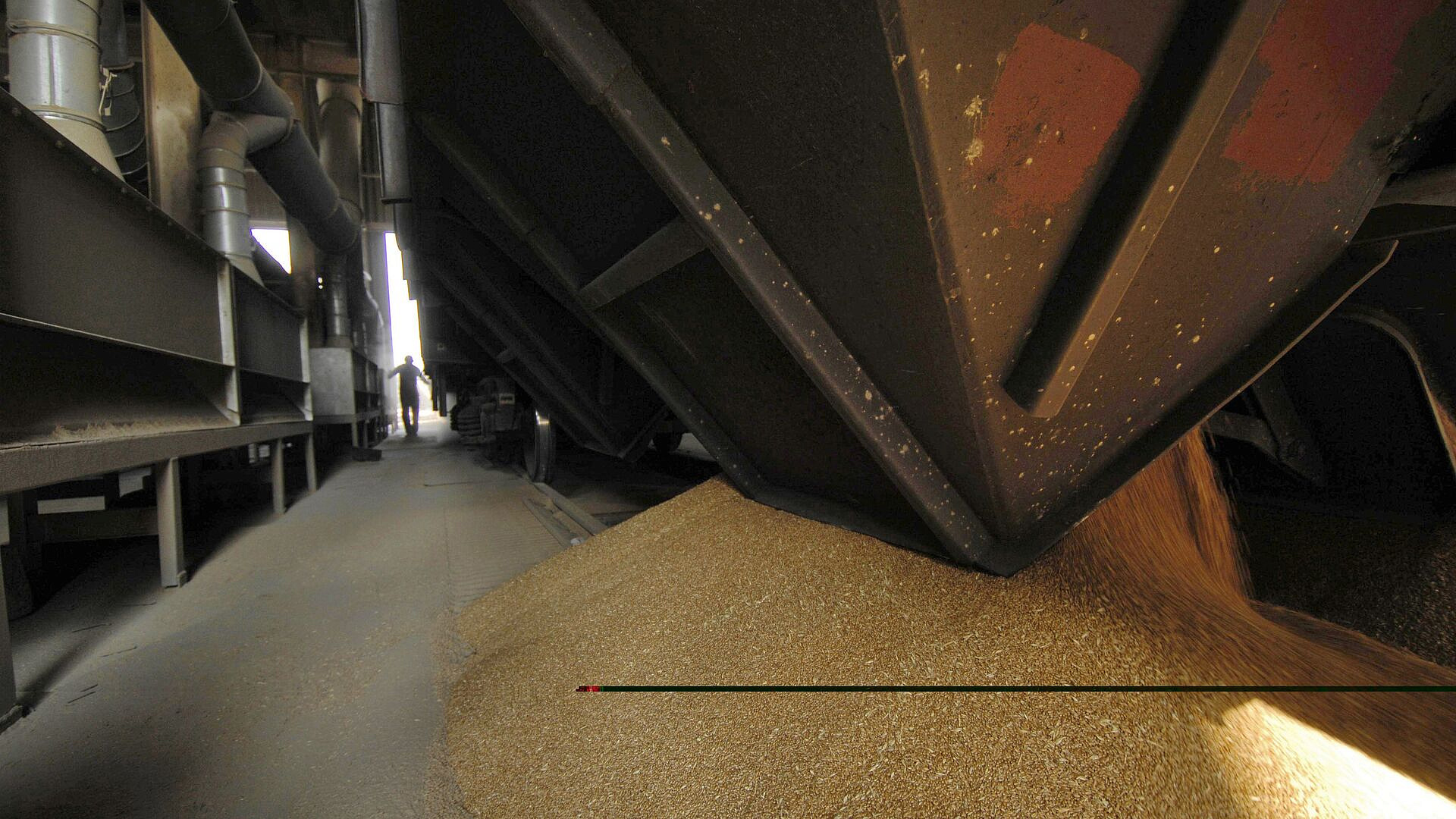 Россия осуществила первую поставку зерна в Армению через Азербайджан