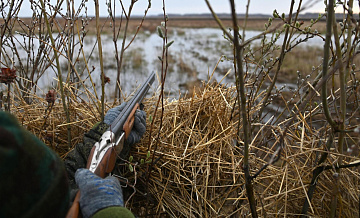 Охотоведы получили разрешение на отстрел медведя в Приморье