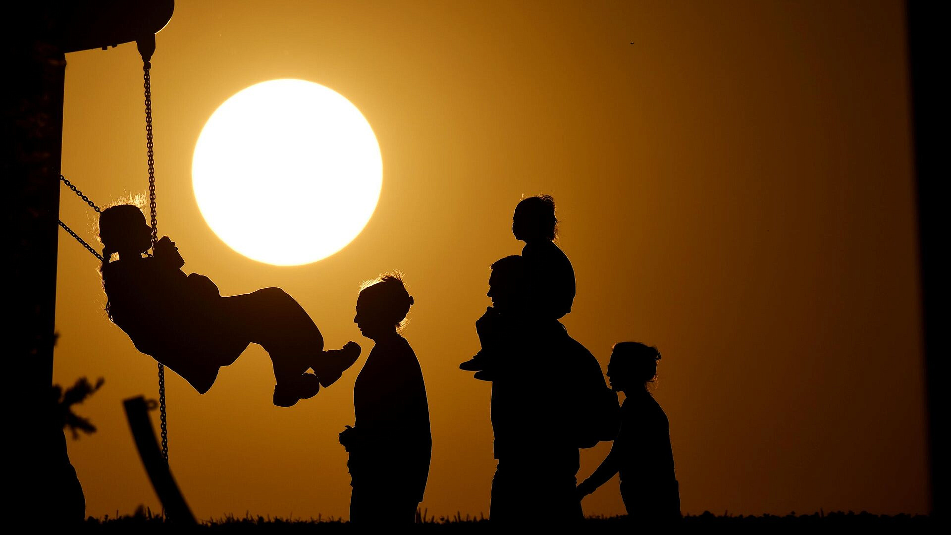 Эксперты рассказали, кто чаще всего покупает водку