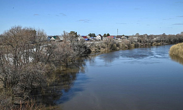 Уровень воды в реке Ишим в селе Викулово преодолел критическую отметку