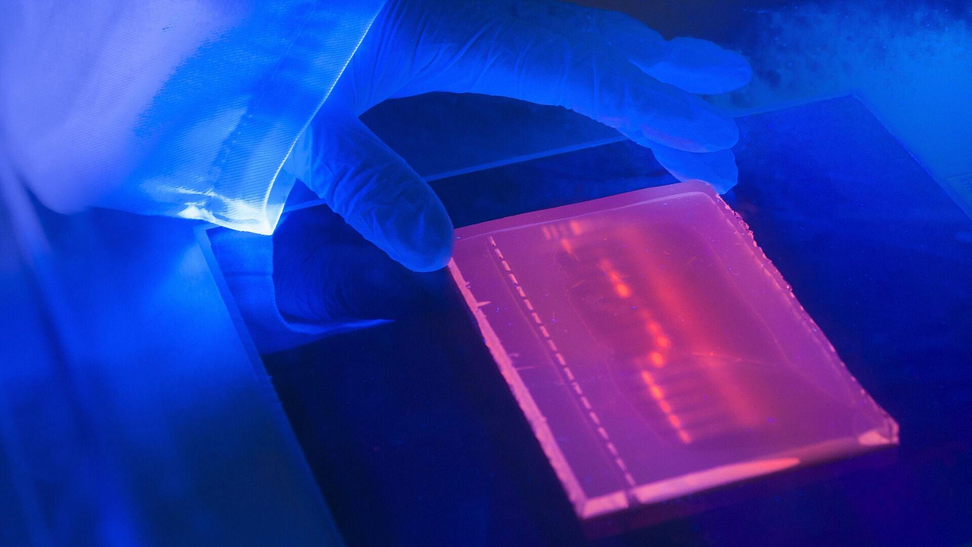 ������ "������ ������������" ��� ����������� � ��������