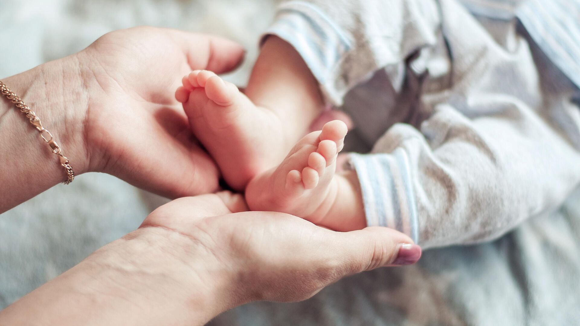 ������� ������ �� ���������� ������� ��������, ������ �������� �������