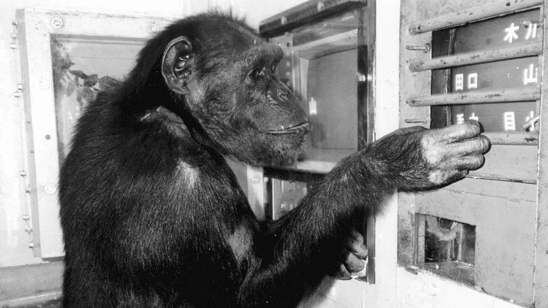 �������� ��, �������������� �����, ����� � ���������, ������ � 49 ���