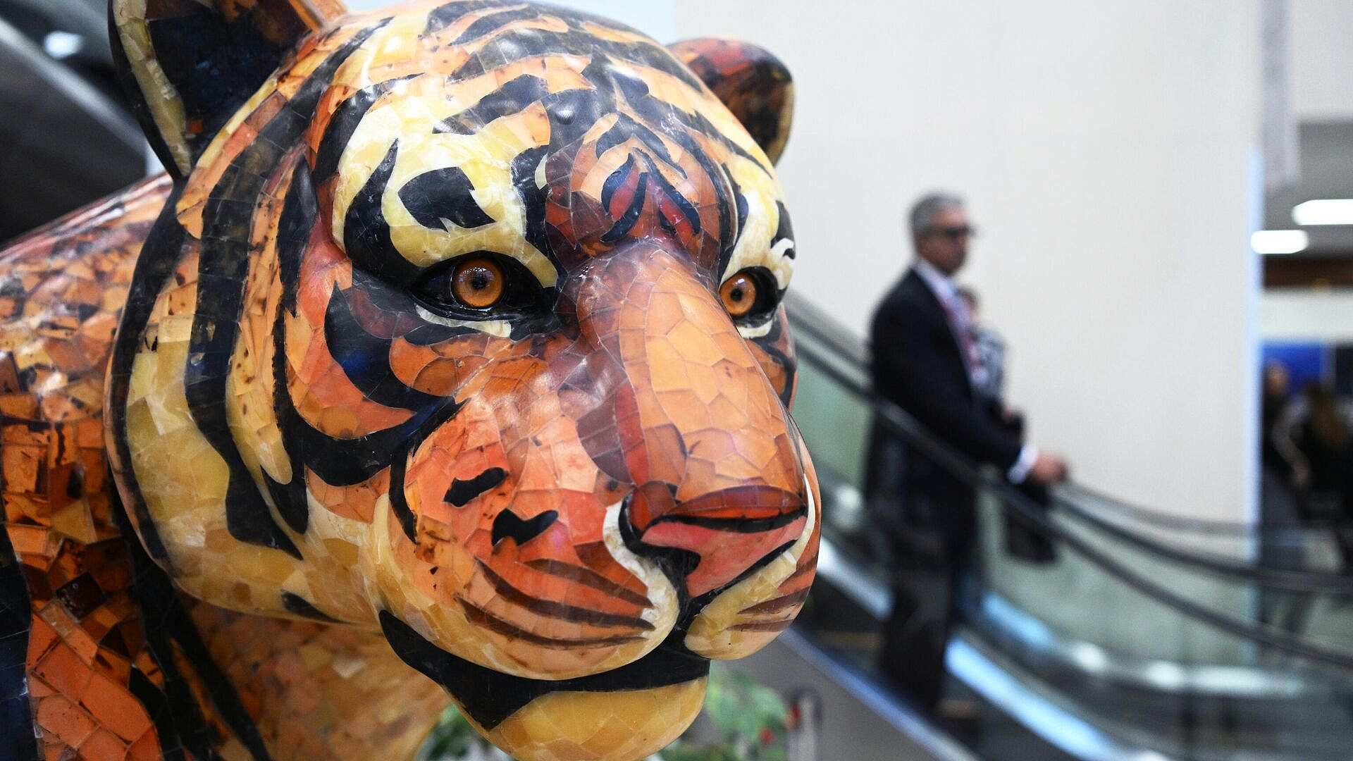 Самая большая статуя тигра в России на Сахалине стала музеем