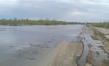 В тюменском селе вода в Ишиме превысила опасную отметку на 106 сантиметров
