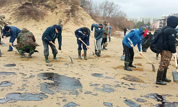 На Кубани открыли второй пункт спасения птиц, пострадавших от мазута