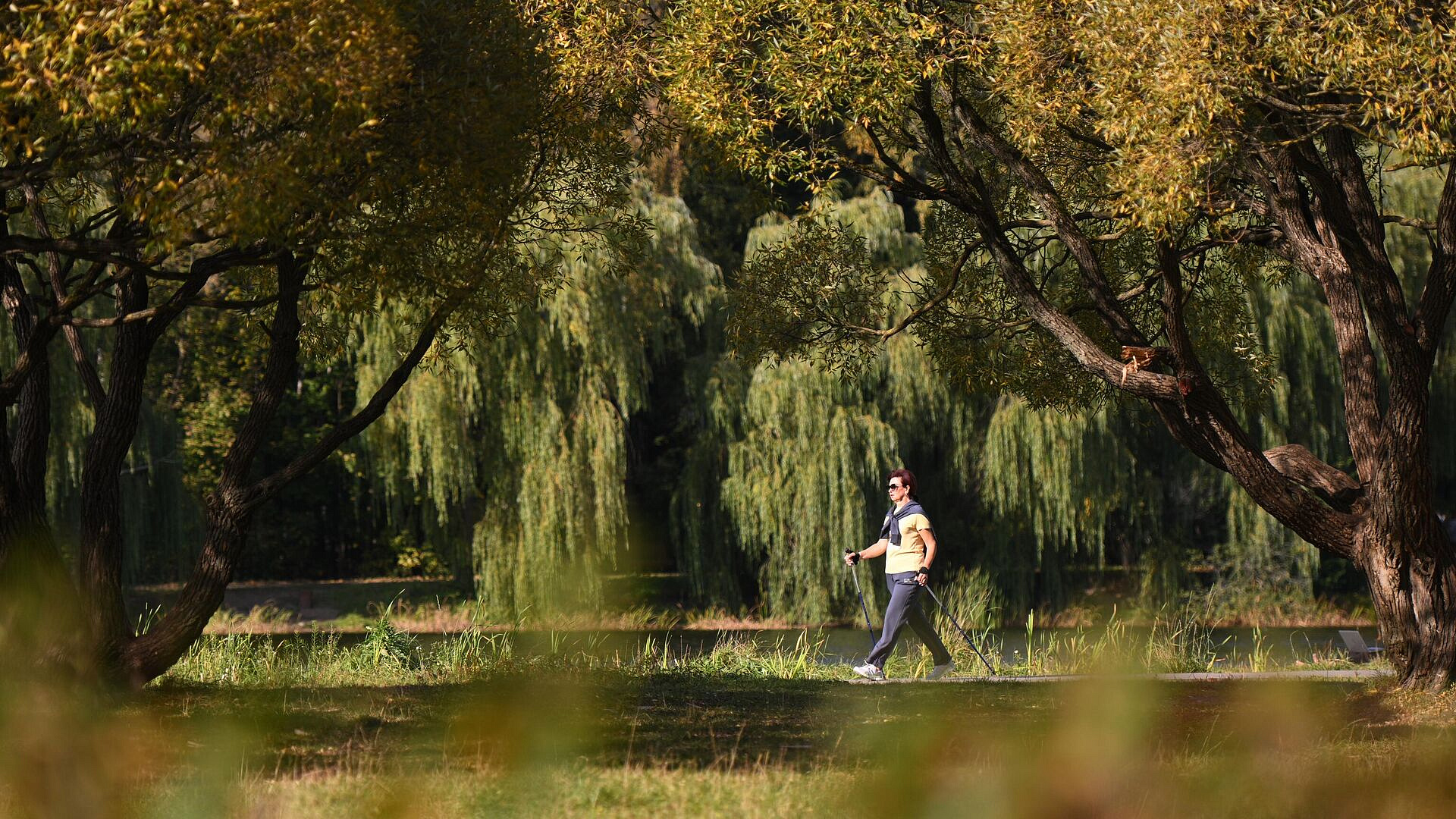Вильфанд рассказал о погоде в Москве на ближайшую неделю