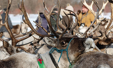 Путин подписал указ, передающий в собственность Якутии АО "Ючюгейское"