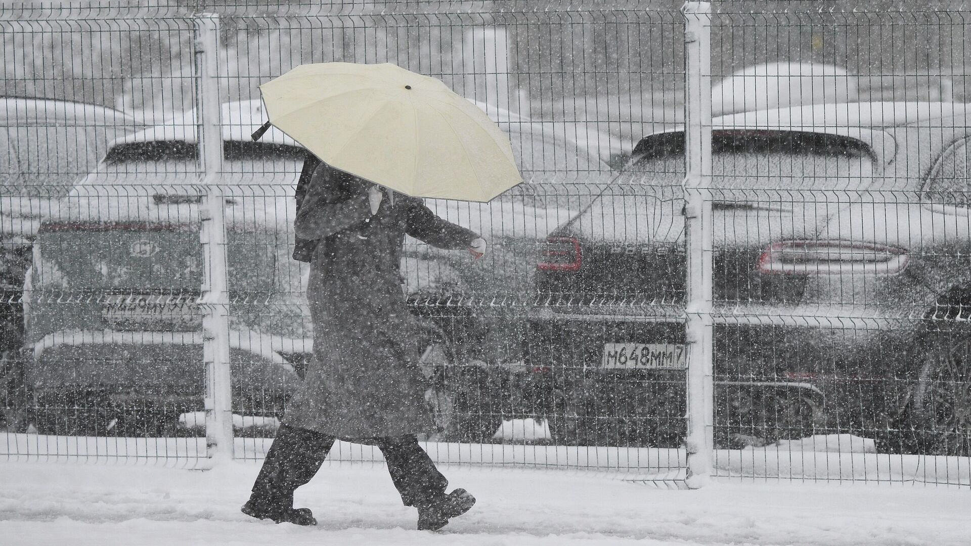 В Подмосковье из-за непогоды произошли отключения электричества