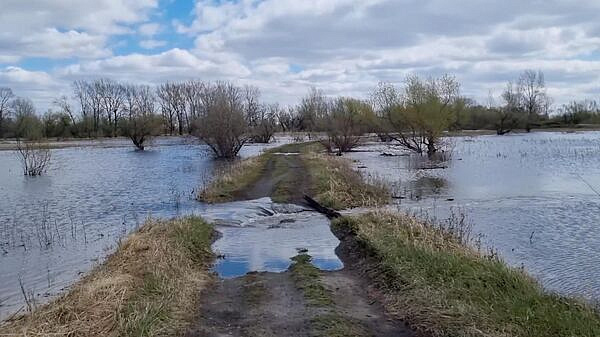 � ������ ������� �������� ������ � ������ �� ���