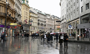 Австрия может пересмотреть стратегию в отношении России, заявил эксперт