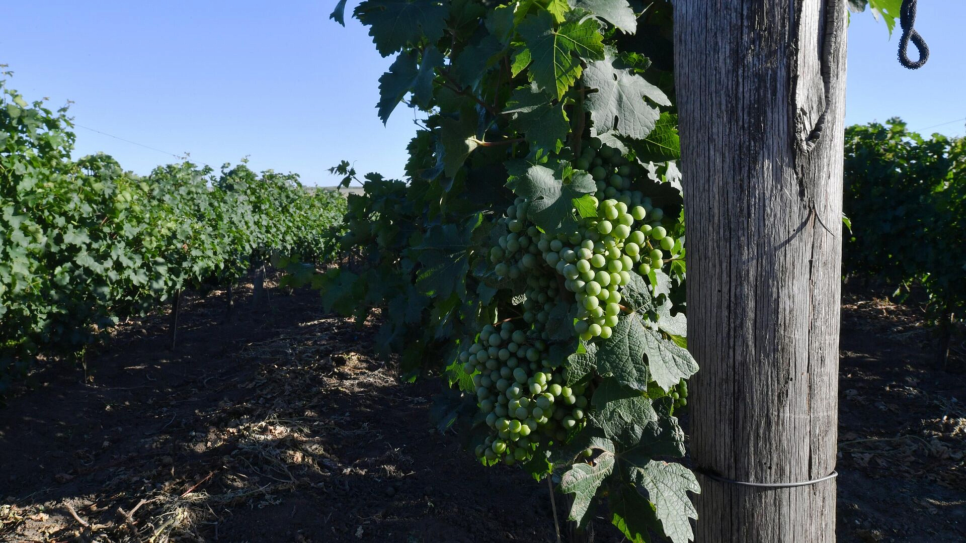 ������� � ����� ���������� ������ ������ ���������