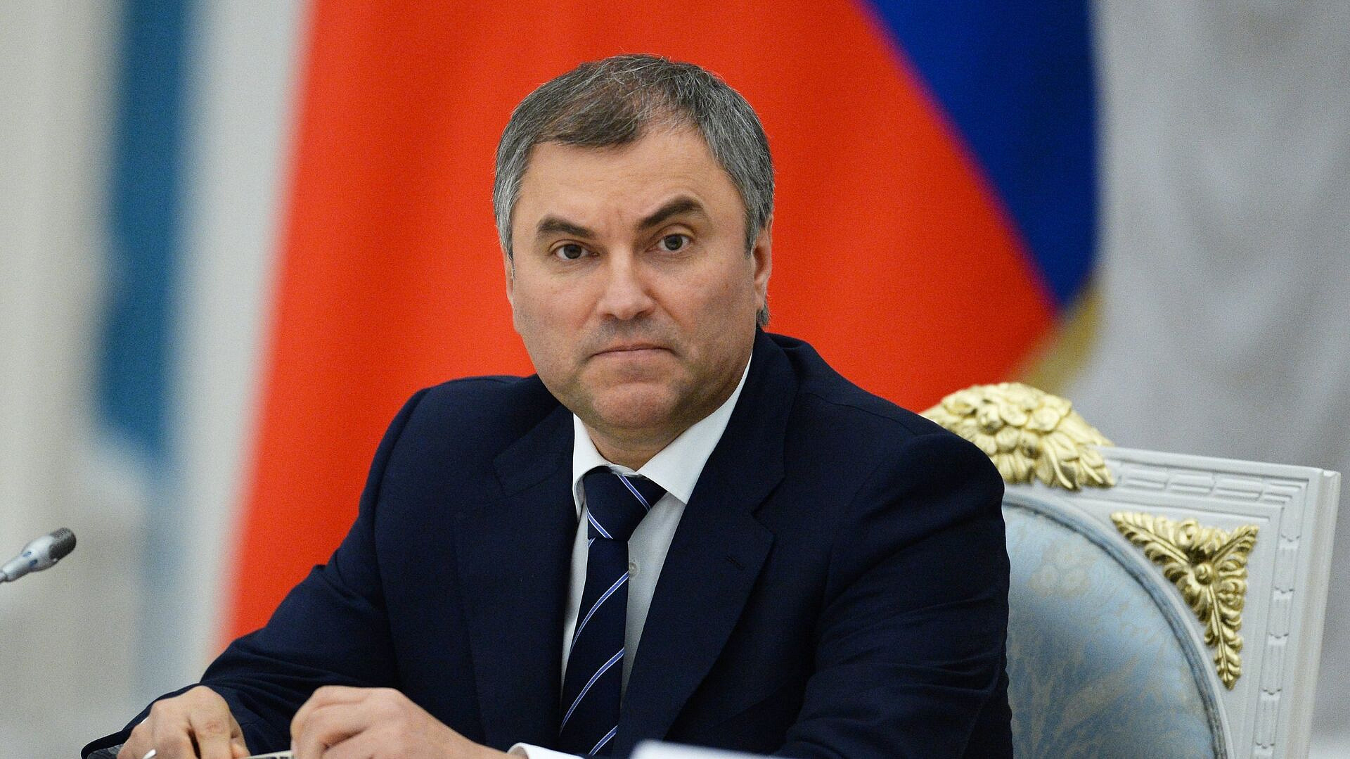Володин рассказал, как можно избавиться от статуса иноагента