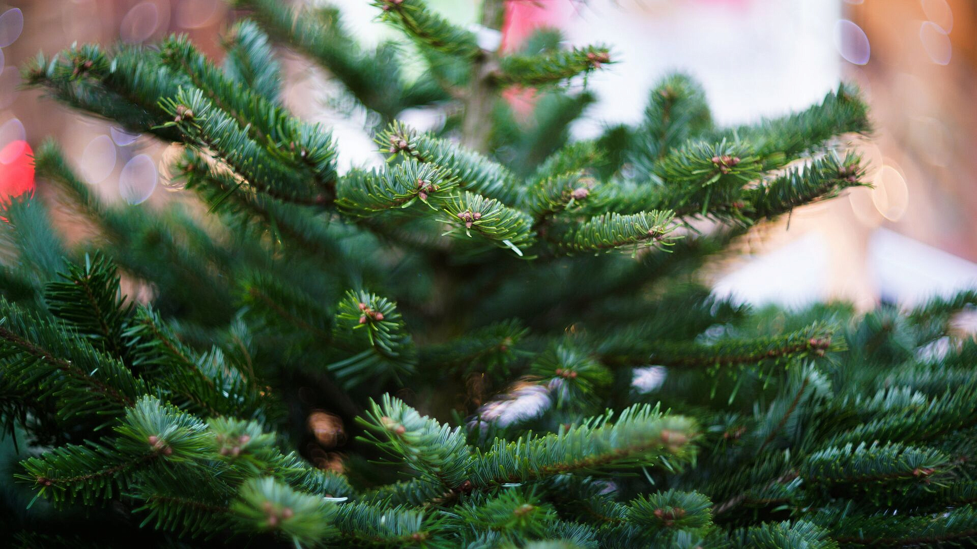 ����� 180 ������� ������� ������� � ����������� � ����������