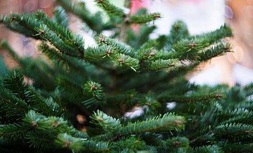 ����� 180 ������� ������� ������� � ����������� � ����������