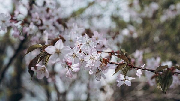 � ��������� ������ �������� ������ �������� ��-�� ������ ������