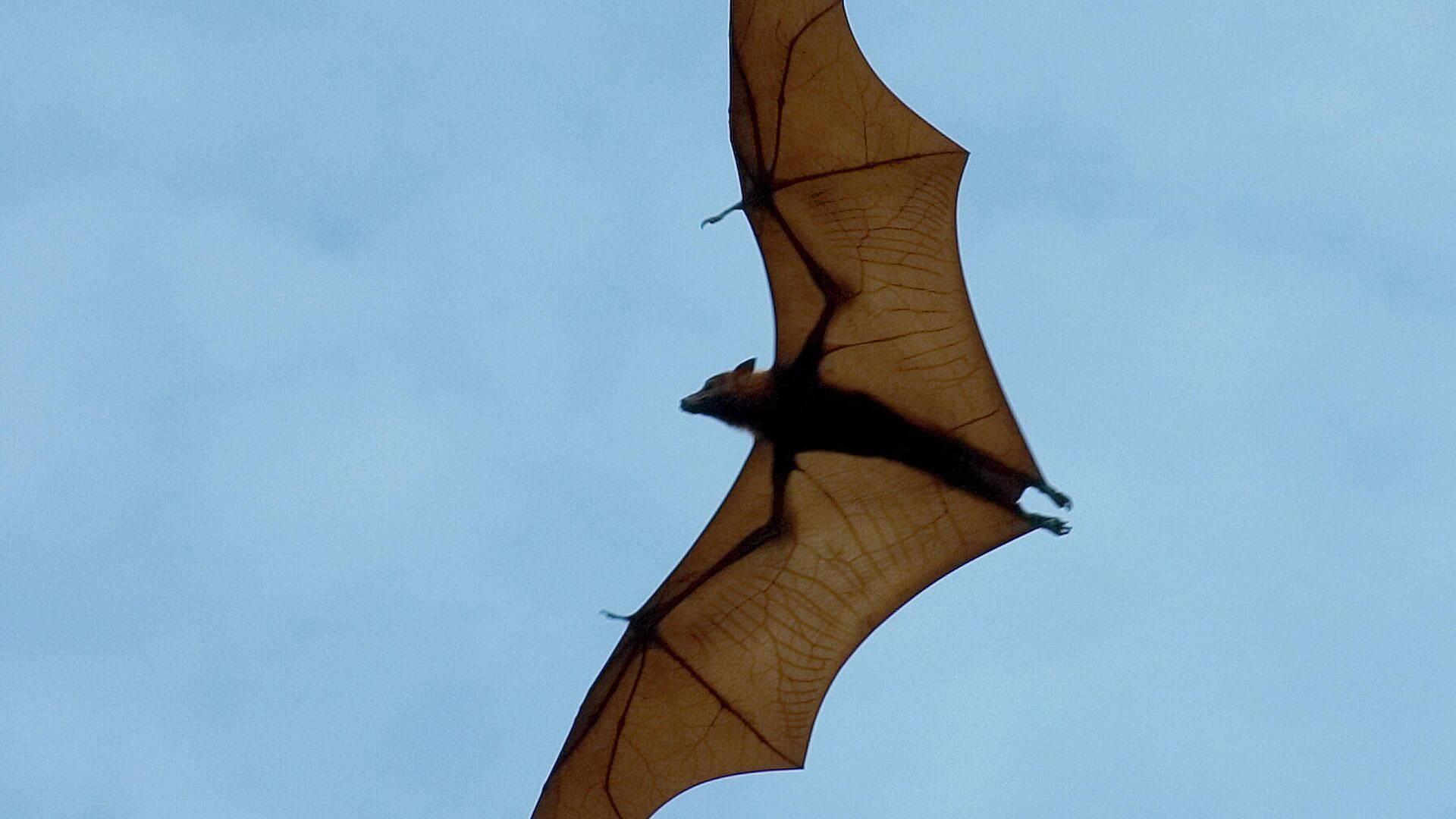 � ��� ���������� � ������������ ������ �����