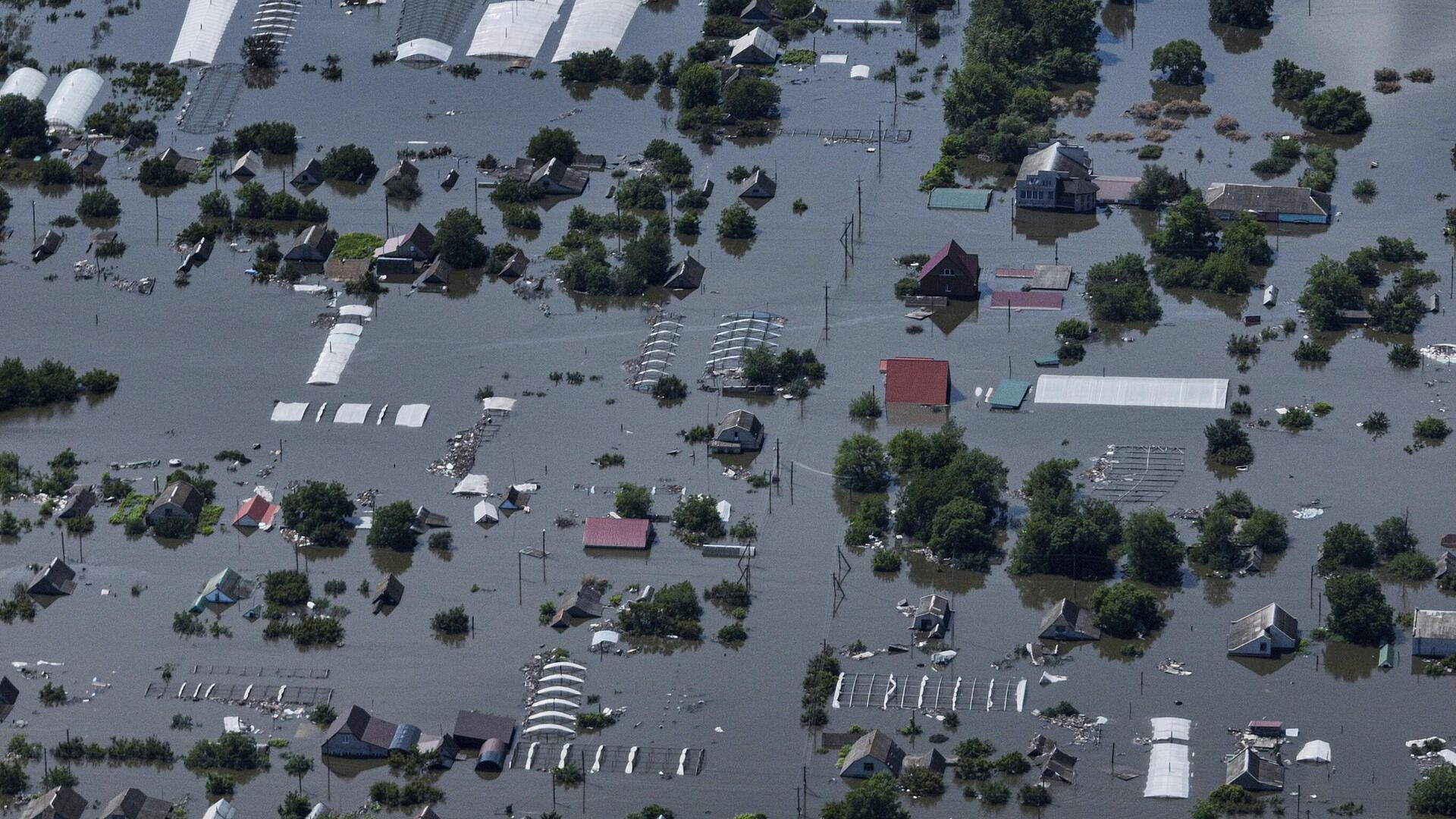 � ���������� ����������, ����� ����� ������� ������� ������� ��������� ���