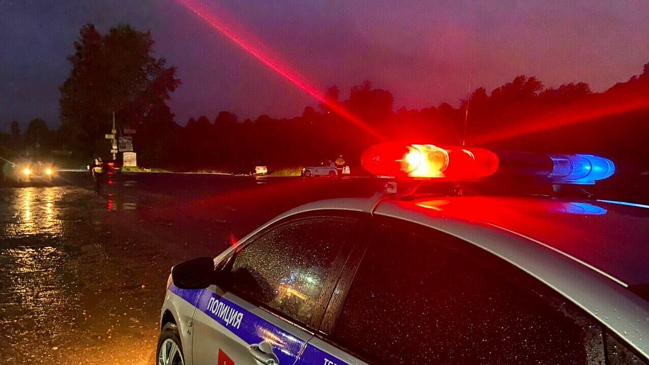 В Ленинградской области ищут похитителя двух чихуахуа