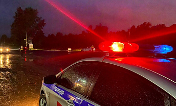 В Ленинградской области ищут похитителя двух чихуахуа