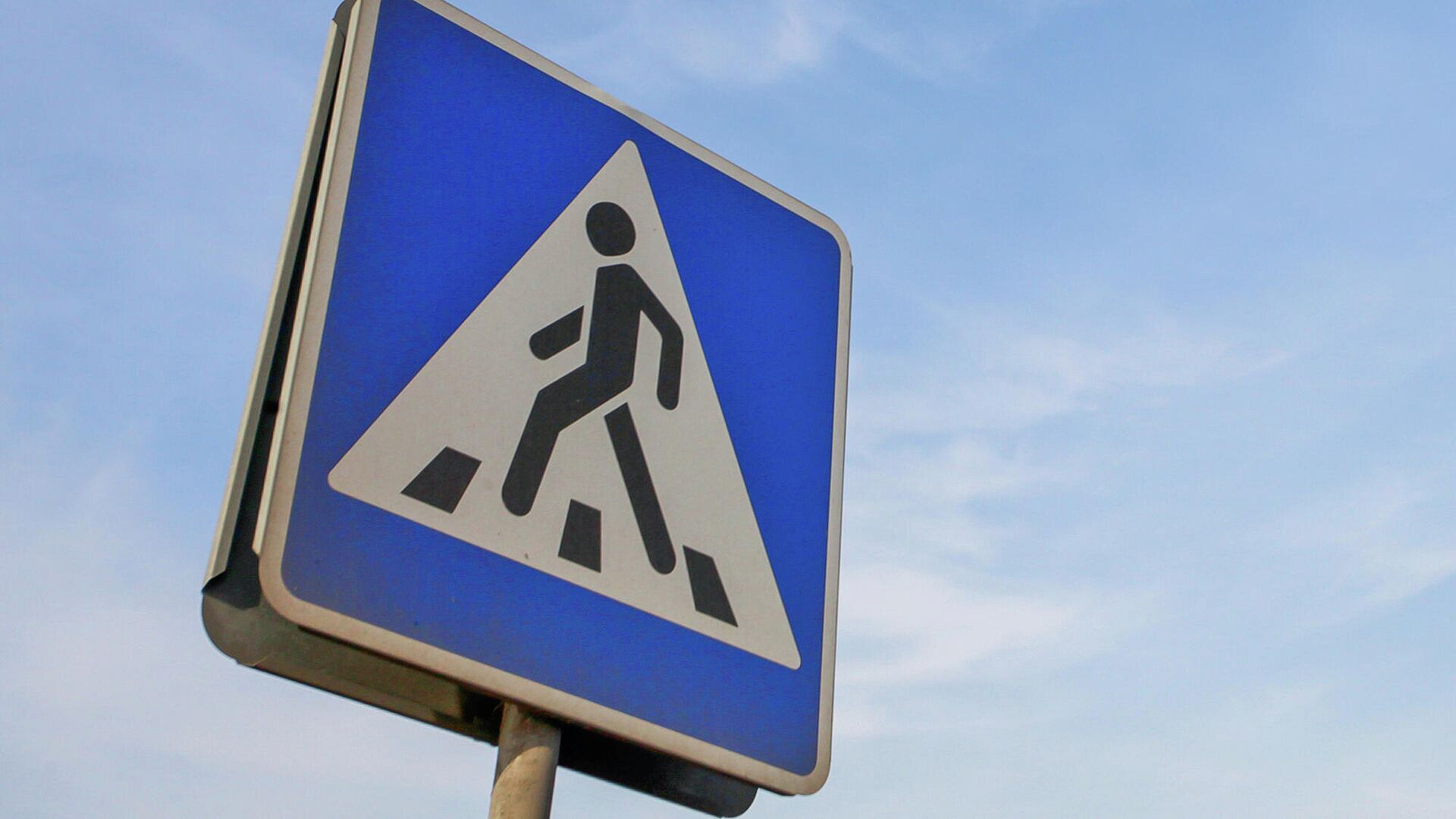 Более 2,5 тысячи знаков установили в Подмосковье на подъездах к переходам