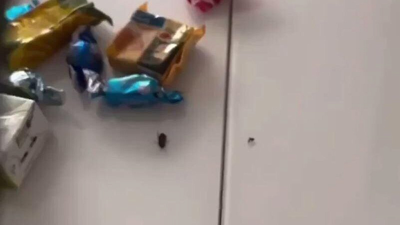 � ����� ����� ����� � ���������� � ������� ������� ����� � ������ � ��