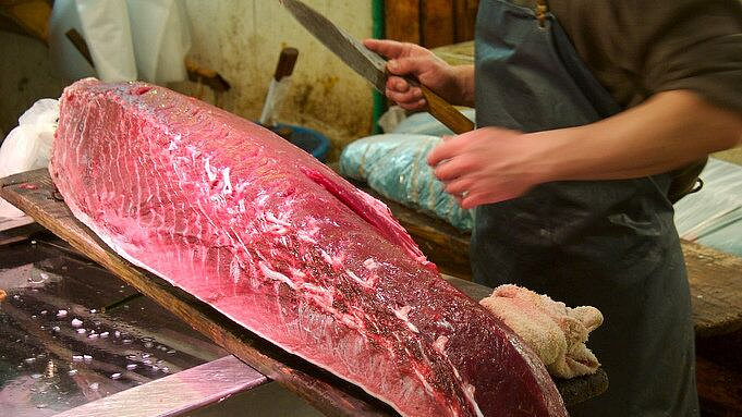 � ����� ������ ������ ���������� �������� �����