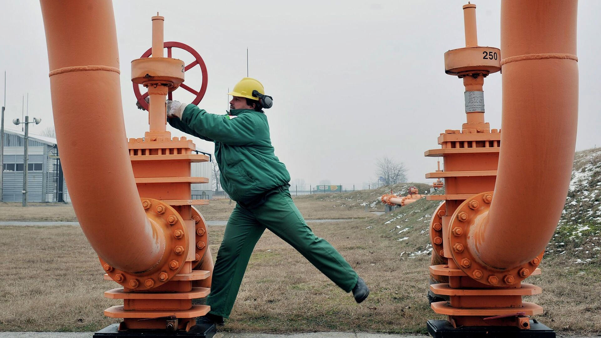 � �� ���������, ������ � ����� ������ ������� �� ��������� ��� �� ������