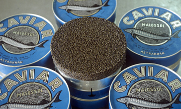 Названы главные покупатели черной икры у России
