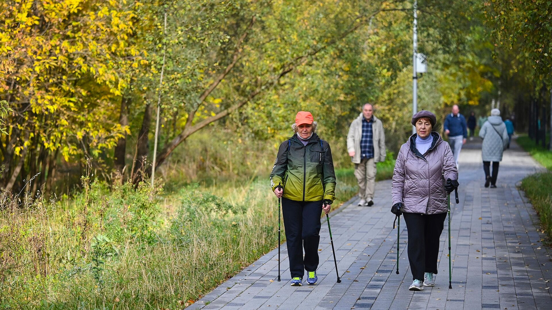 Гериатр рассказала, как пожилым провести праздники с пользой для здоровья