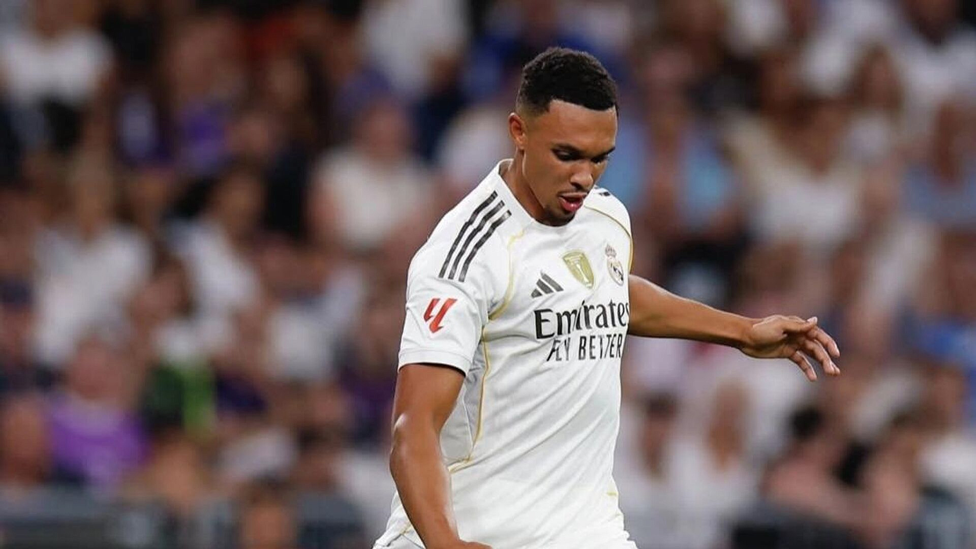 ������ "�����" ������� ������ ����������-�������� ������ ����� ����