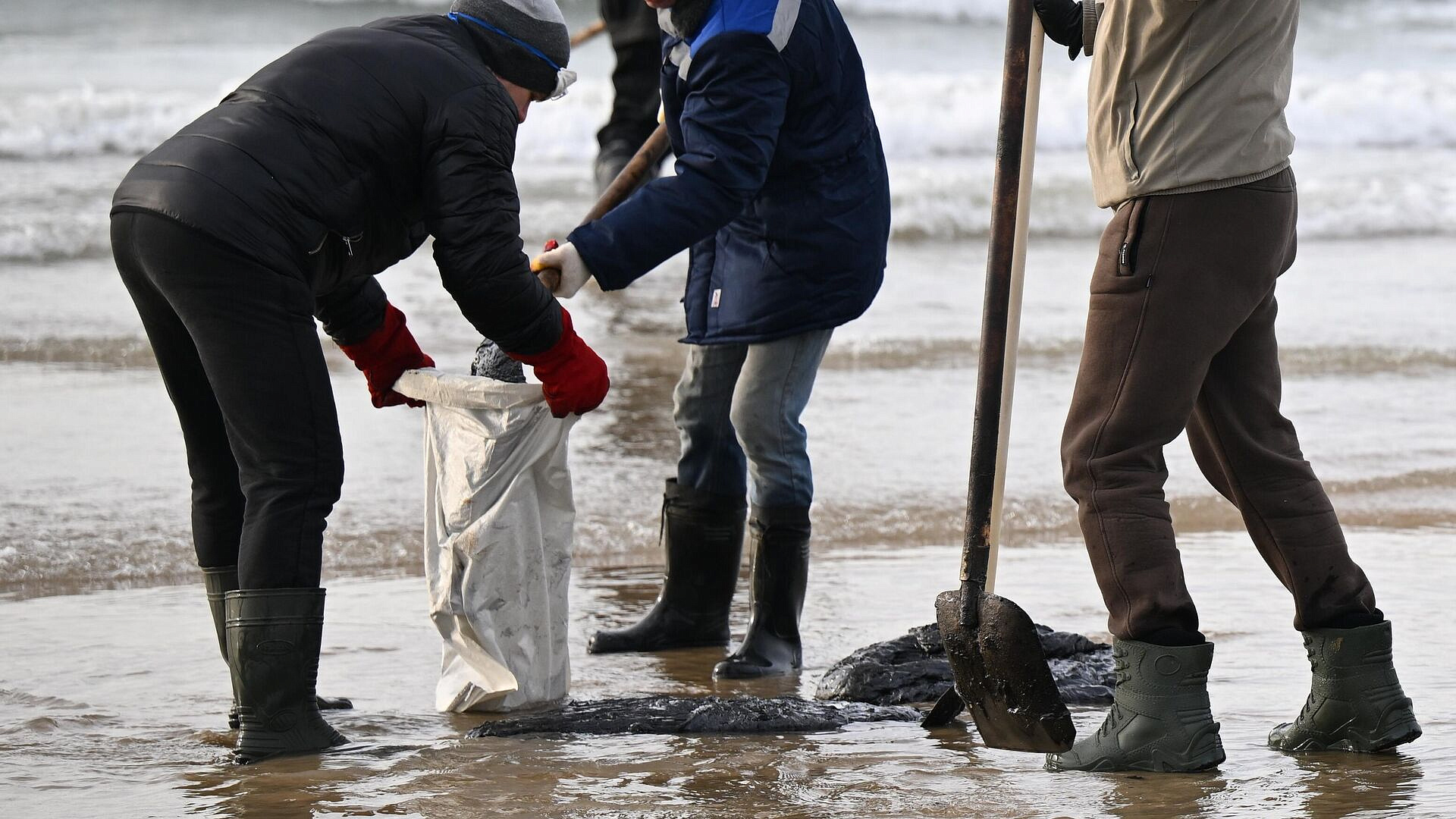 В Анапе начали помогать пострадавшим от выбросов мазута собакам
