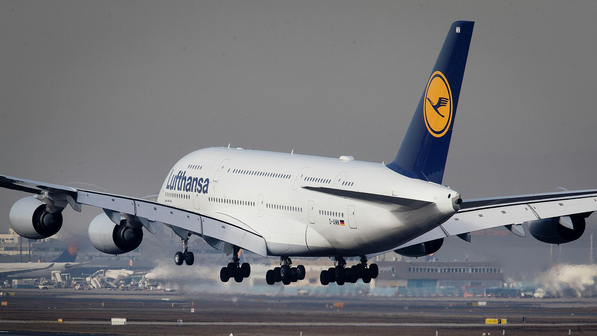 Lufthansa      30 