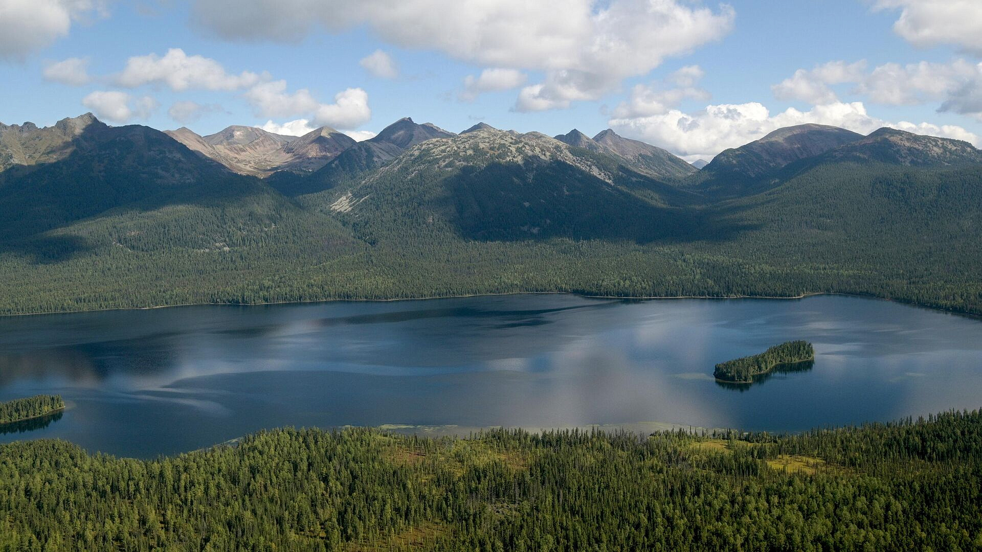 ������ ����������� ������������� ����������� ����, ������� ��������� ������