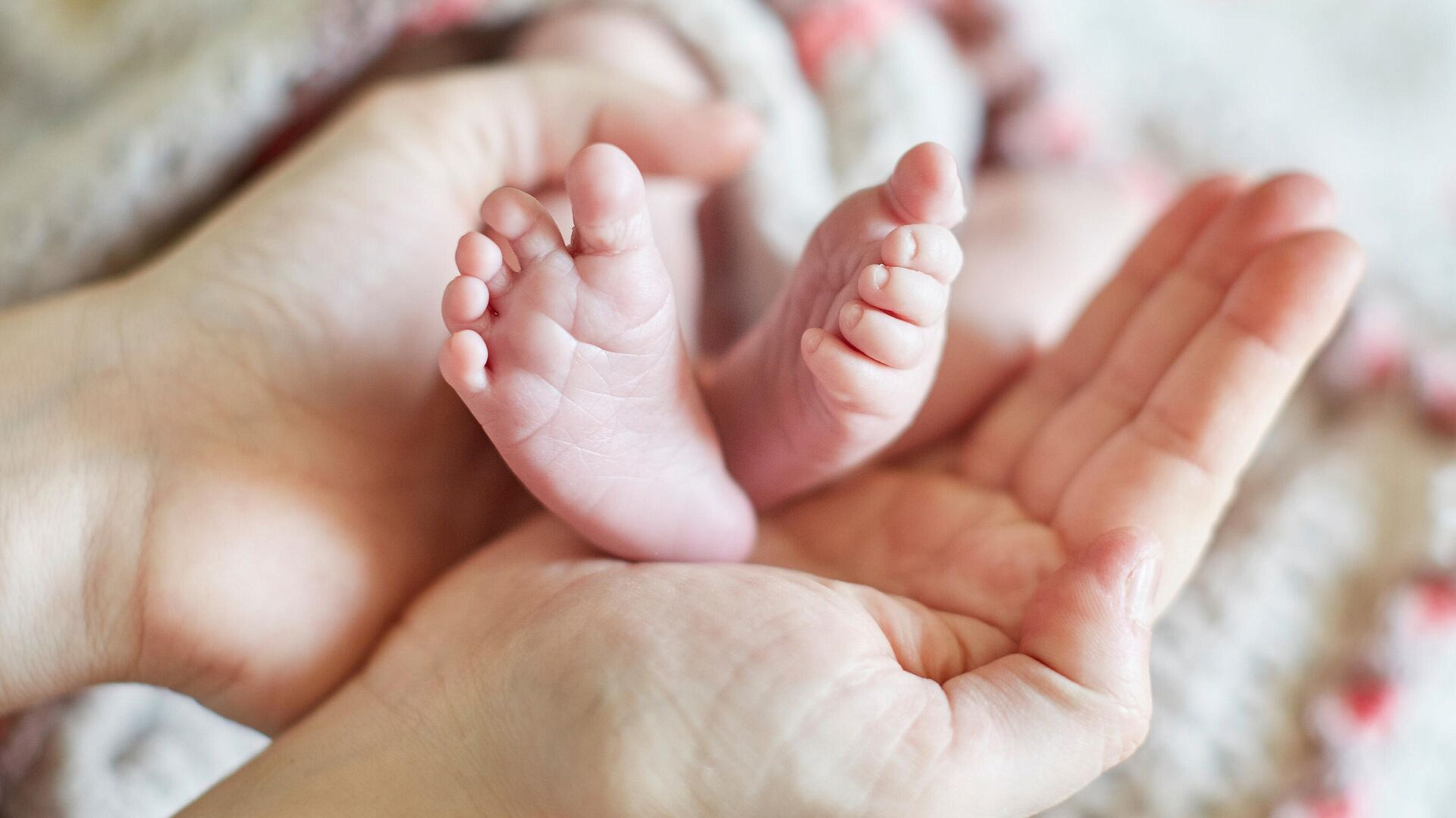 � ���� �������� ������� � ������ ��������-�����