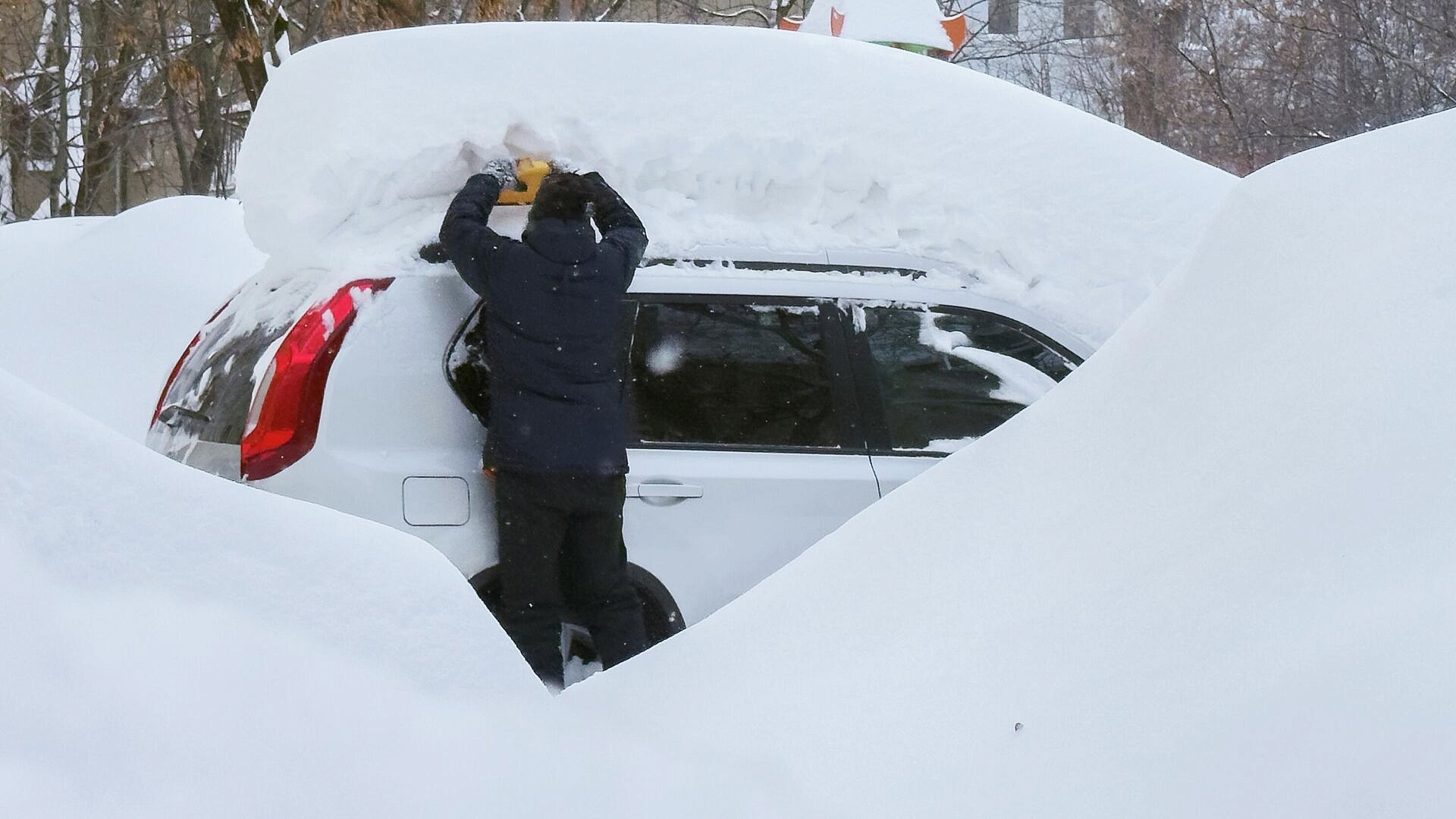 В Москве за сутки выпало до 25% месячной нормы осадков