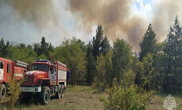 В России за сутки потушили 60 природных пожаров