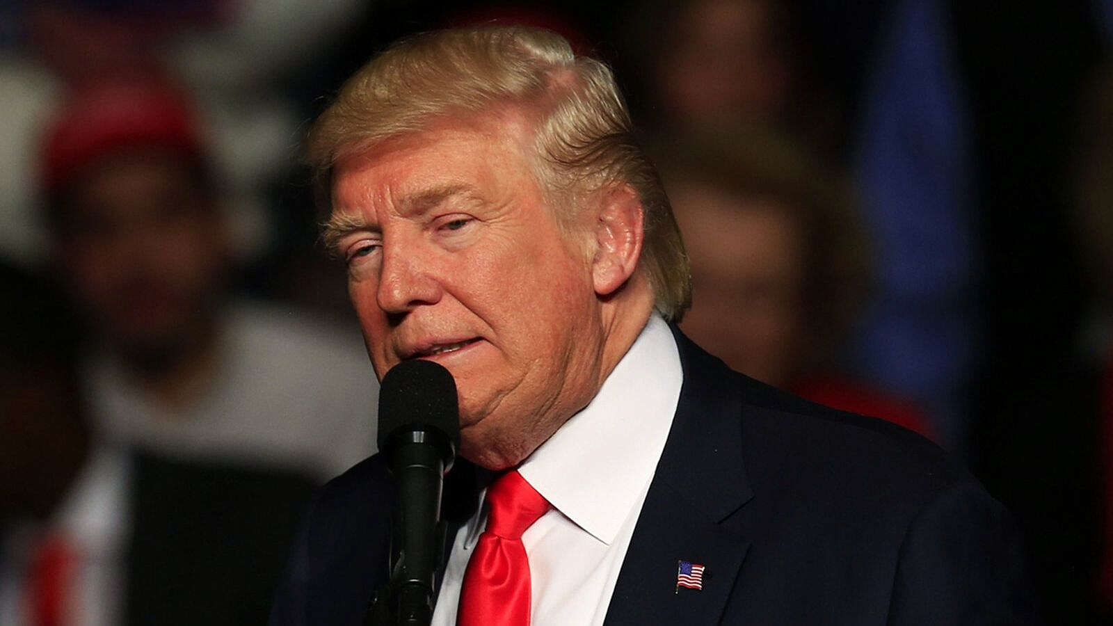 ����� � ���� ����������� �������� ������� ���� �������