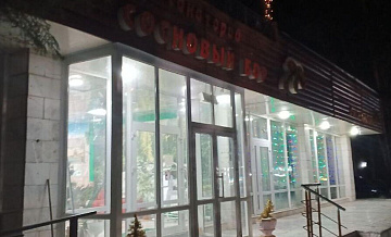 Стала известна причина массового отравления в красноярском санатории