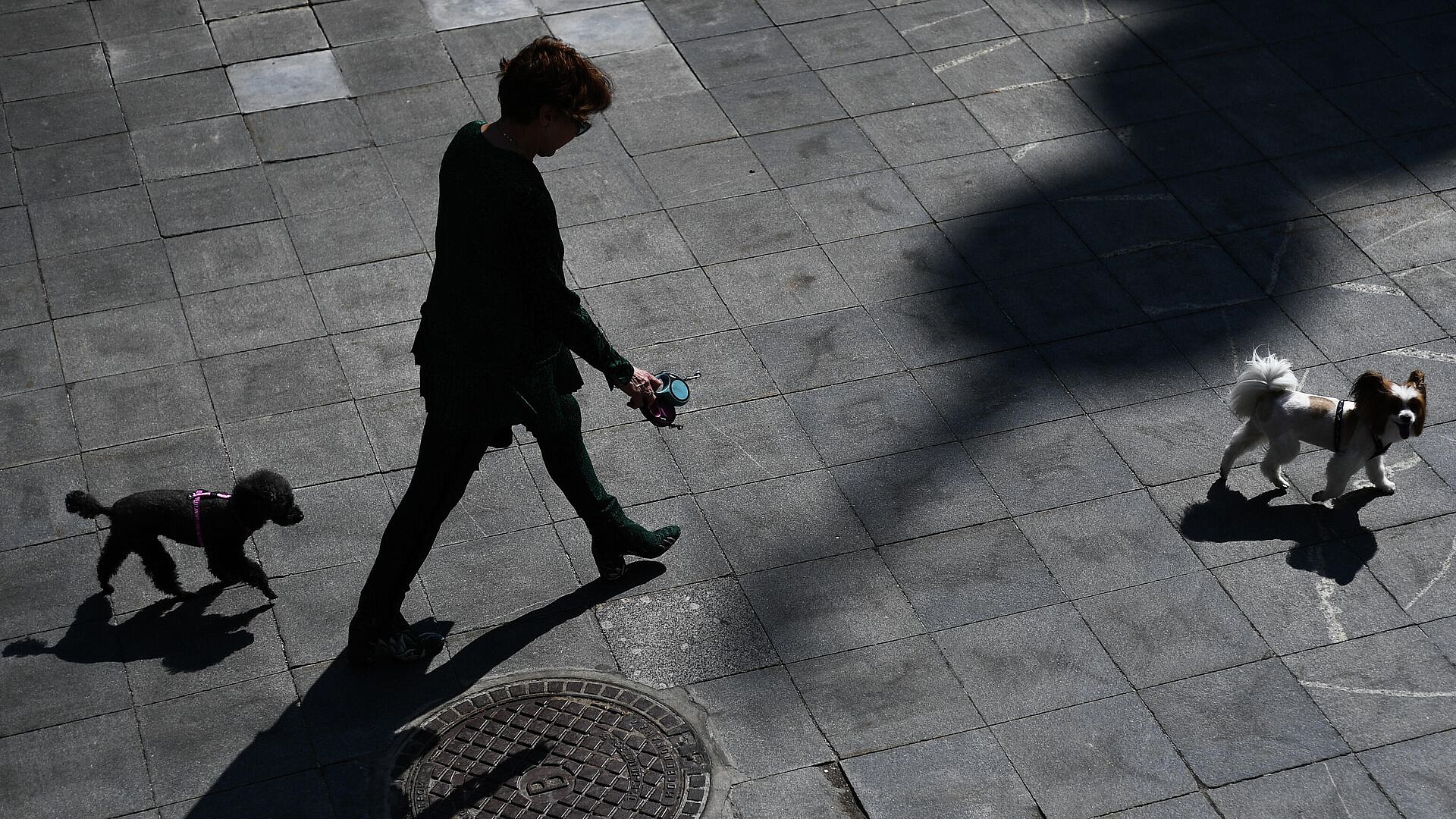 ������� ���������, ��� ��������� ���������� ������