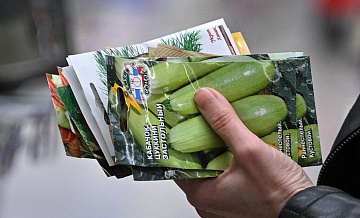 Эксперт рассказала, как не купить фальшивые семена на маркетплейсах