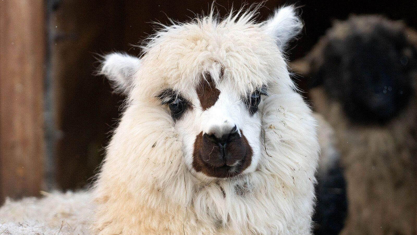 ������� �� ����������� �������� ������� ���