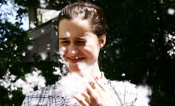 Японские ученые нашли в чае матча спасение от симптомов аллергии