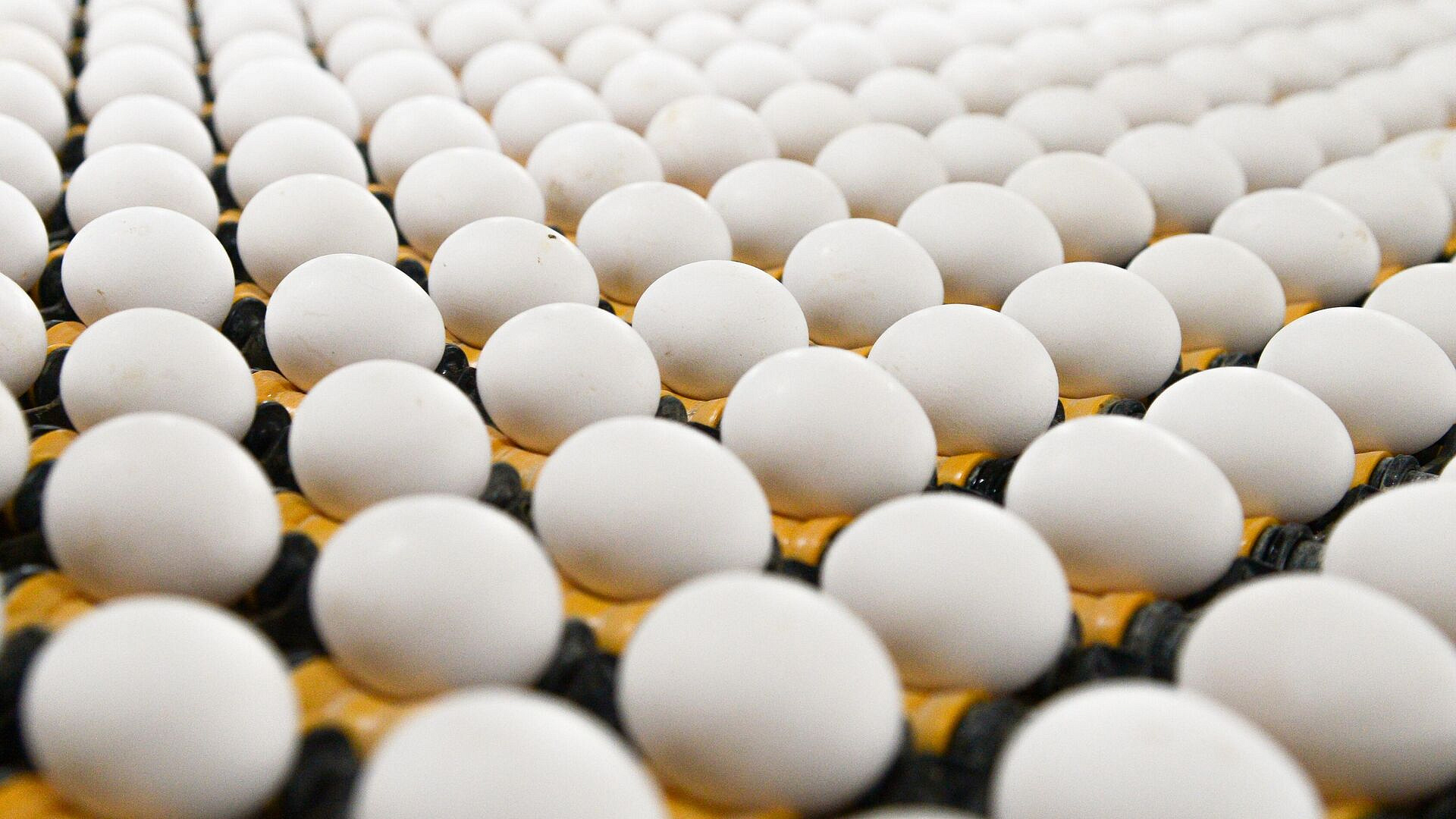 ���� � ������ ��������� ������ �������� ����� ����� ������� ���������