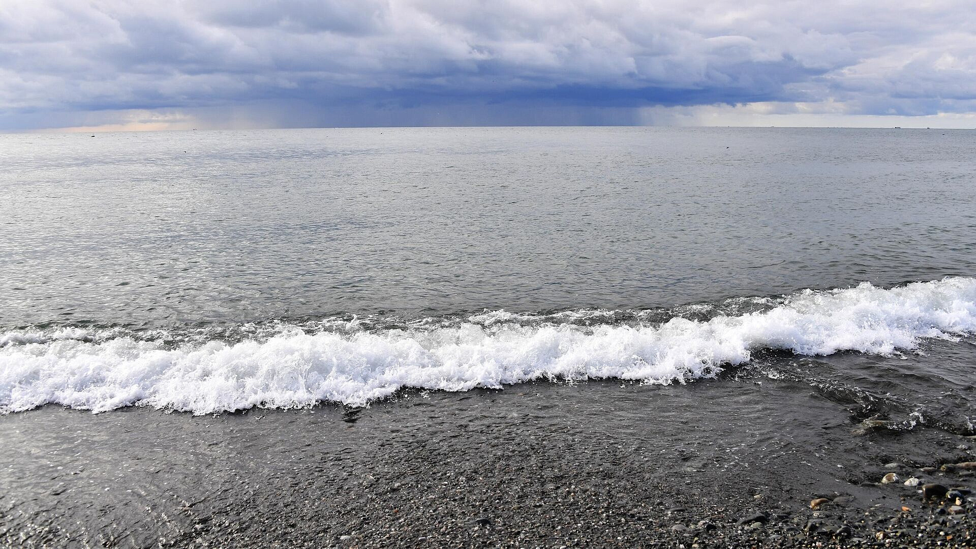 КТК сообщил, что нефти на черноморском побережье не обнаружено