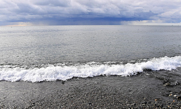 КТК сообщил, что нефти на черноморском побережье не обнаружено