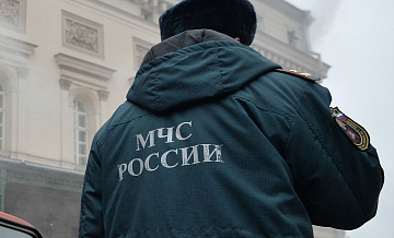 На западе Москвы спасли собаку, тонувшую в полынье