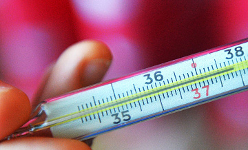 � ��������� ������� �������� � ������� � ���� � ������