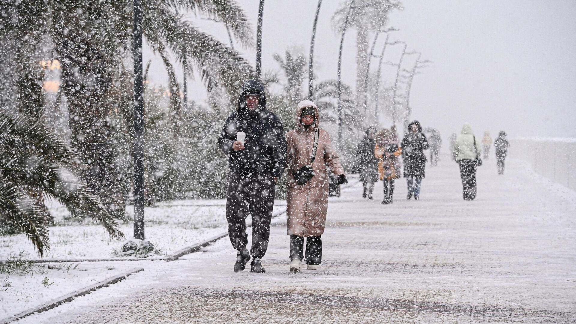 �� ������ � � ������ ������������� ��� ������ �� ������